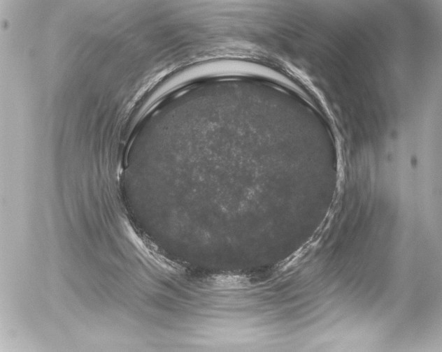 X0000056000154200508191332