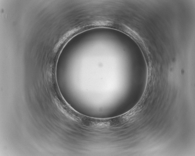 X0000056000155200508191332