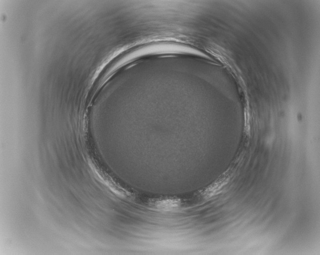 X0000056000156200508191332