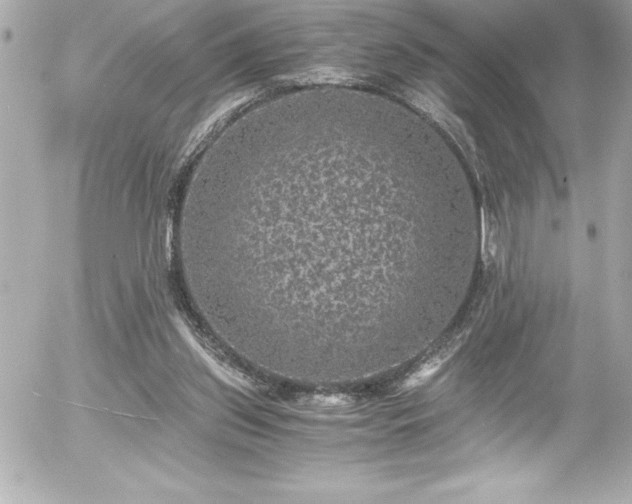 X0000056000157200508191332