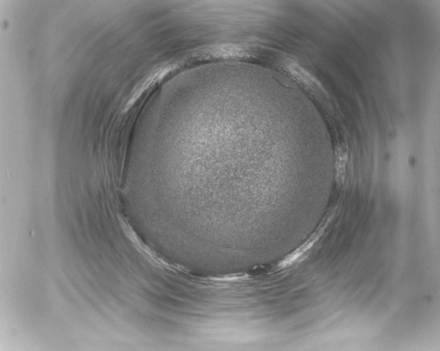 X0000056000158200508191332