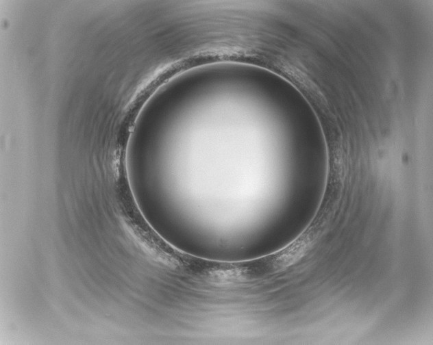 X0000056000160200508191333