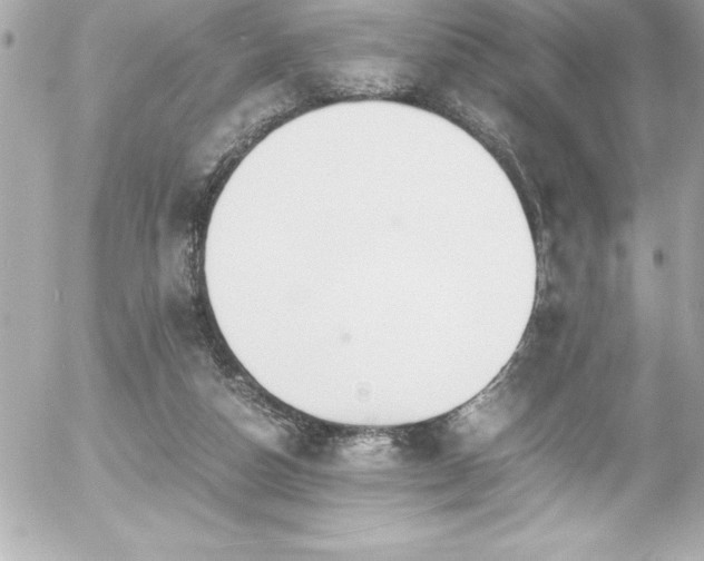 X0000056000162200508191333