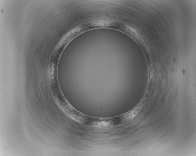 X0000056000163200508191333