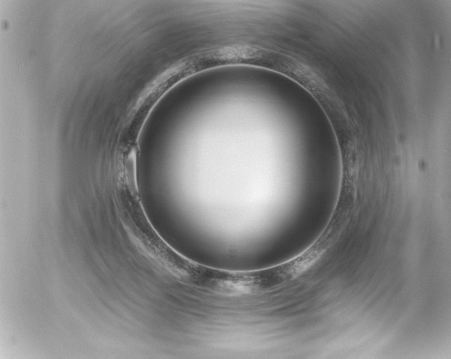 X0000056000164200508191333