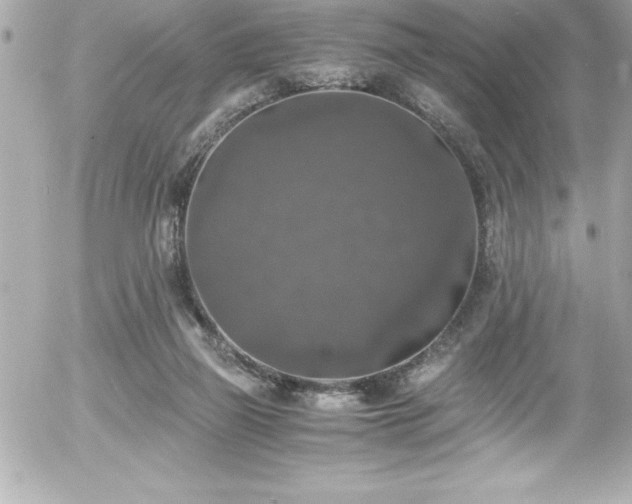 X0000056000165200508191333