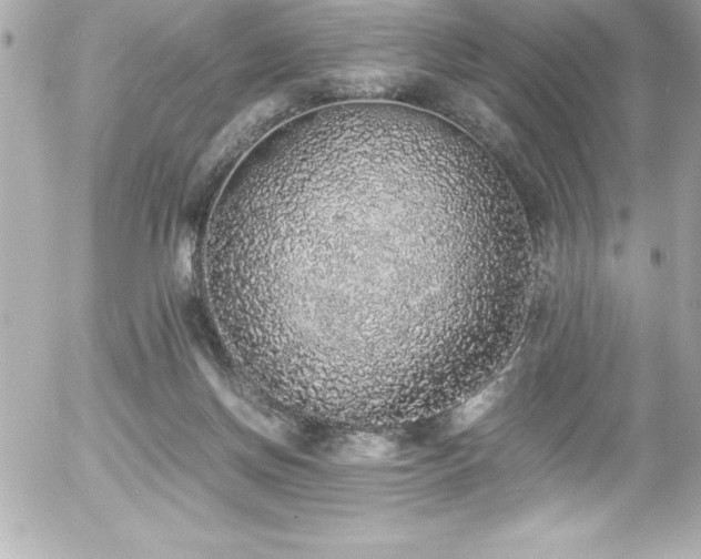 X0000056000166200508191333