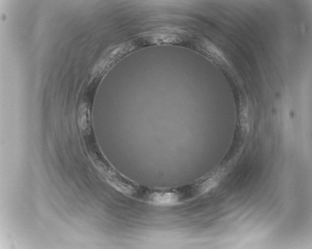 X0000056000169200508191333