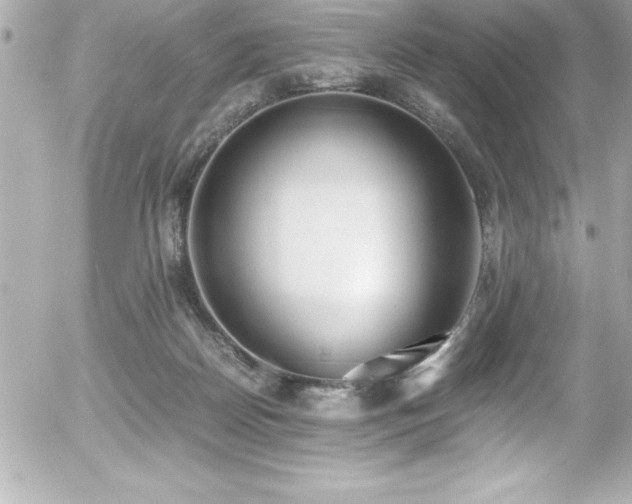 X0000056000170200508191333