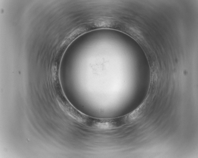 X0000056000171200508191333