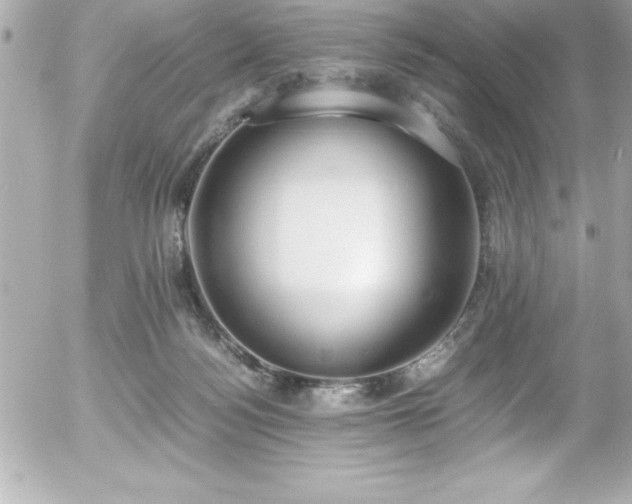 X0000056000172200508191333