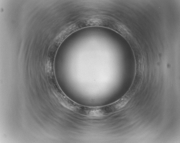 X0000056000173200508191333