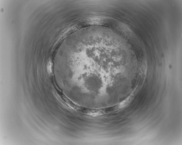 X0000056000175200508191333