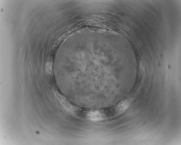 X0000056000177200508191333