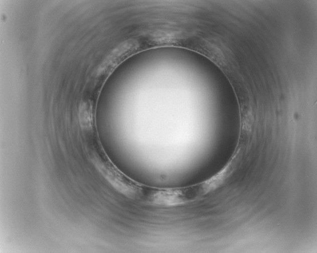 X0000056000179200508191333