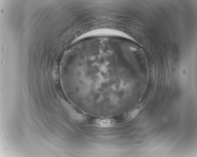 X0000056000181200508191333