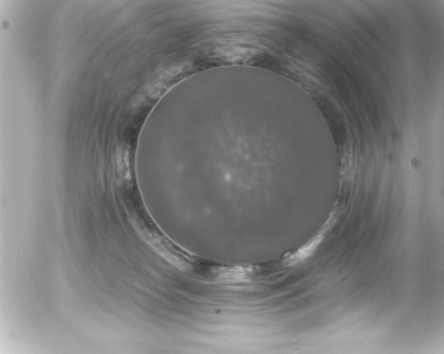 X0000056000182200508191333