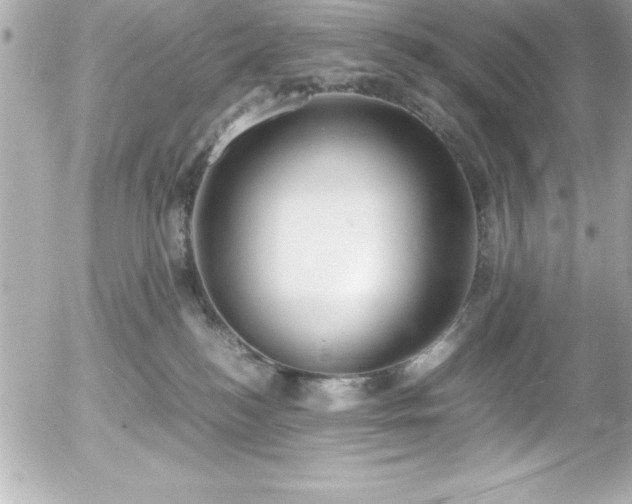 X0000056000184200508191333