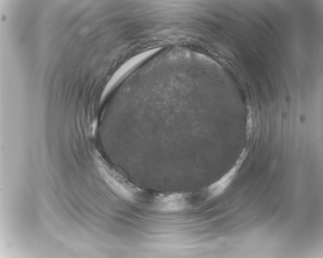 X0000056000186200508191333