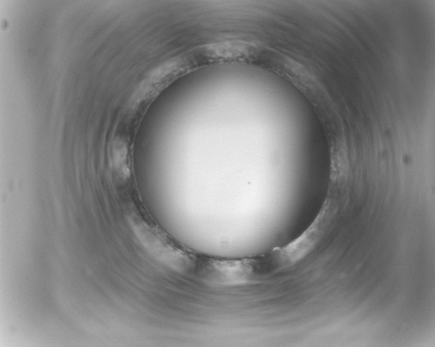 X0000056000187200508191333