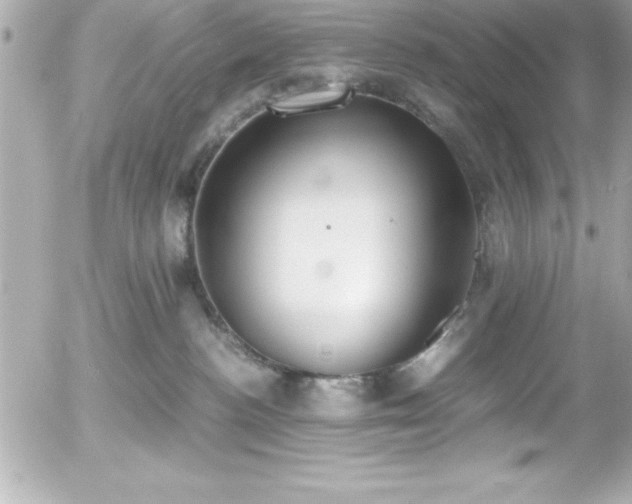 X0000056000188200508191333