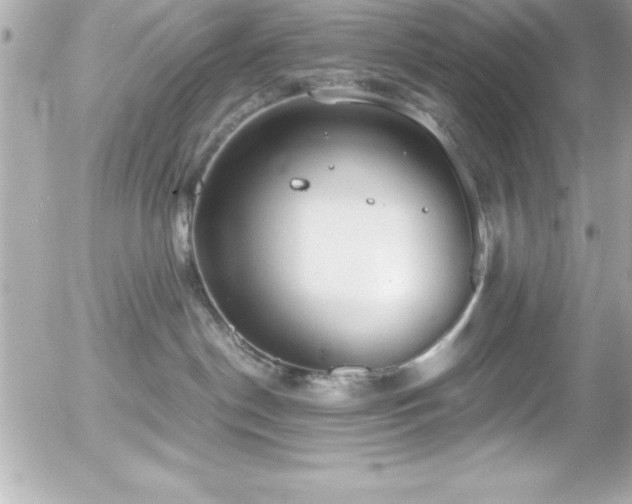 X0000056000190200508191333