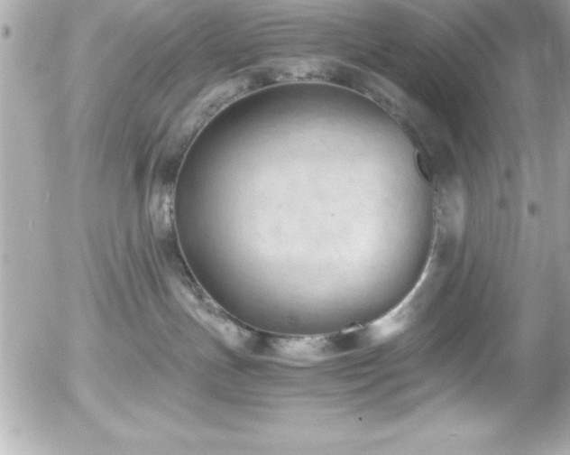 X0000056000191200508191333