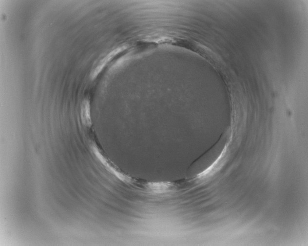 X0000056000192200508191333