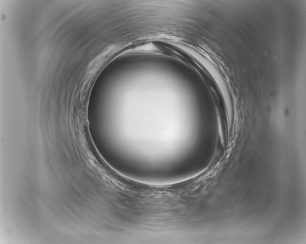 X0000056000193200508191332