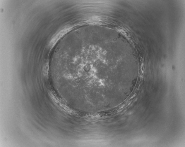 X0000056000194200508191332