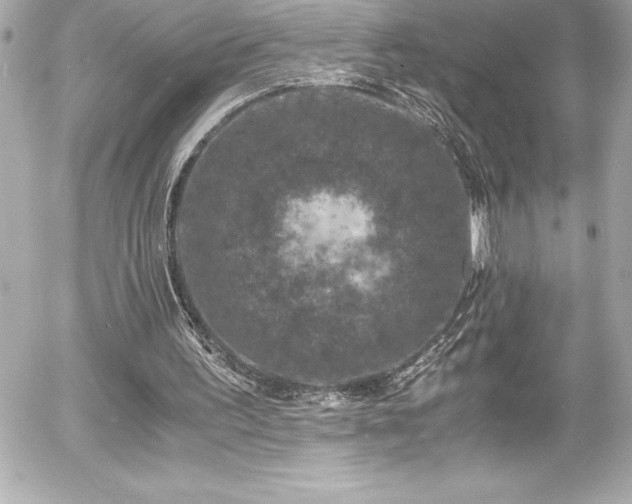 X0000056000195200508191332