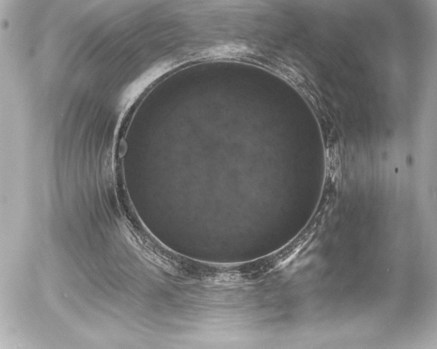 X0000056000196200508191332