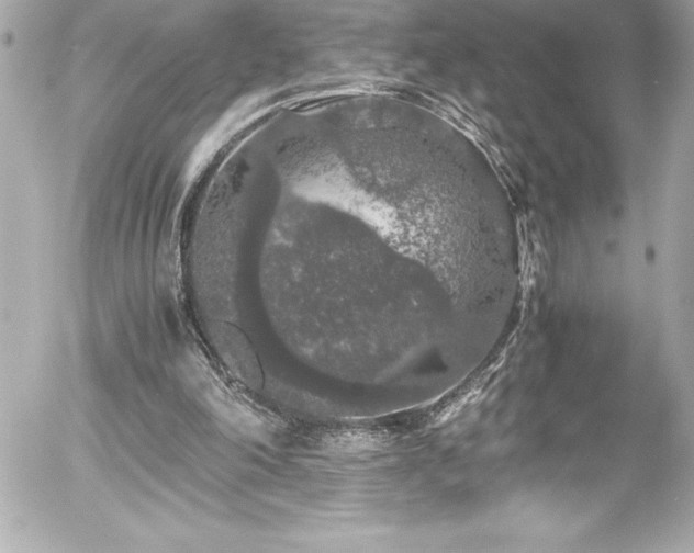 X0000056000198200508191332