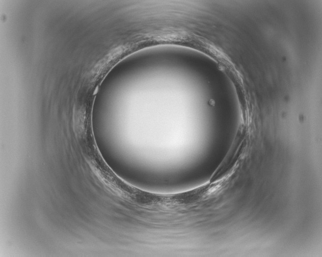 X0000056000201200508191332