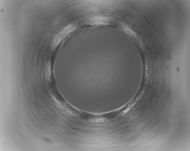 X0000056000202200508191332