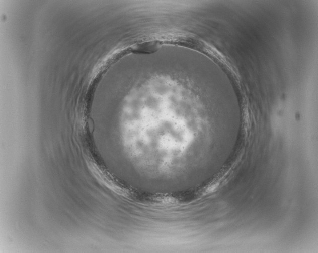 X0000056000203200508191332