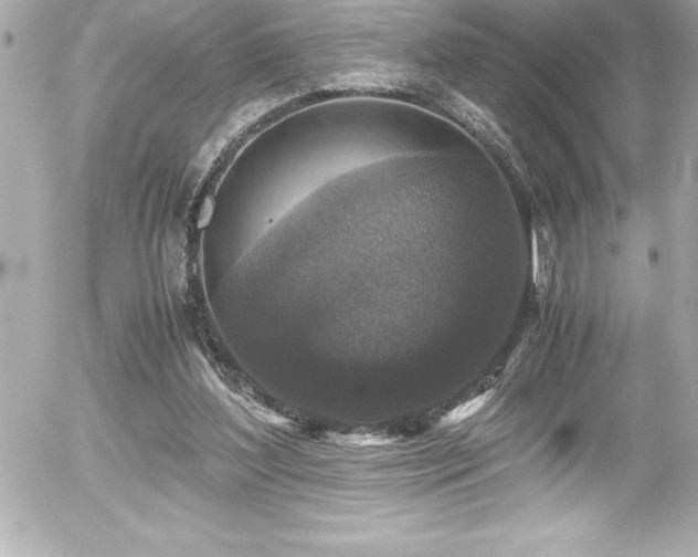 X0000056000204200508191332