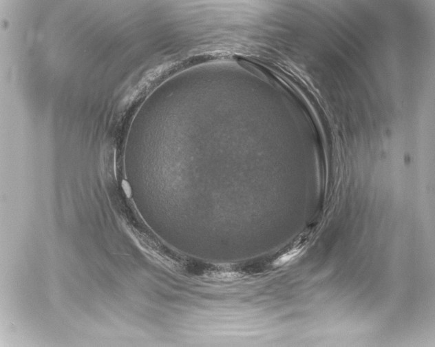 X0000056000205200508191332