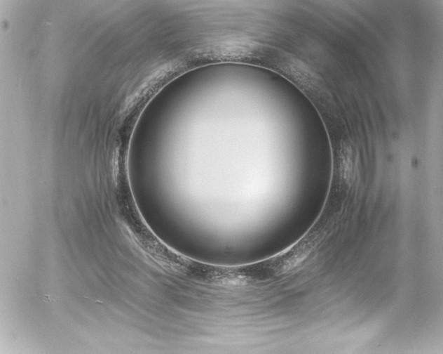 X0000056000206200508191332