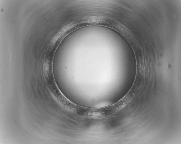 X0000056000208200508191332