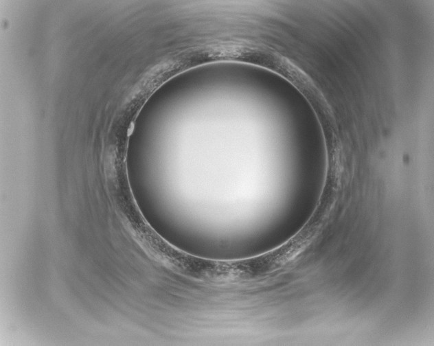 X0000056000209200508191332