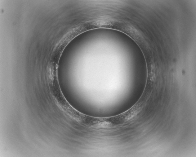 X0000056000210200508191332