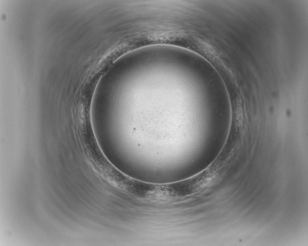 X0000056000211200508191332