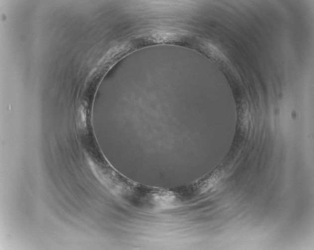 X0000056000214200508191332