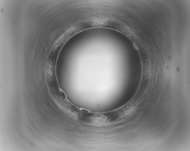 X0000056000215200508191332