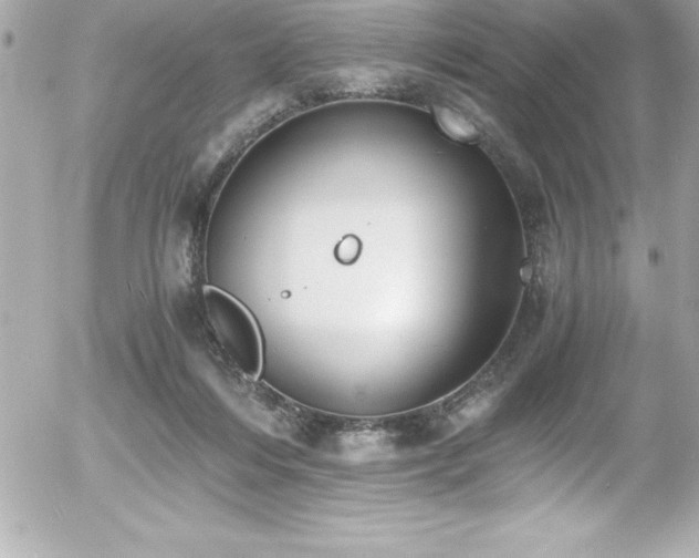 X0000056000216200508191332