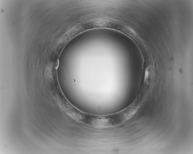 X0000056000217200508191332