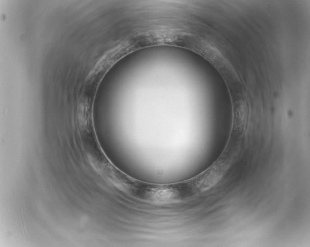 X0000056000218200508191332