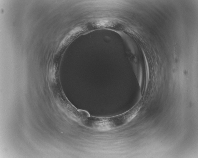 X0000056000219200508191332