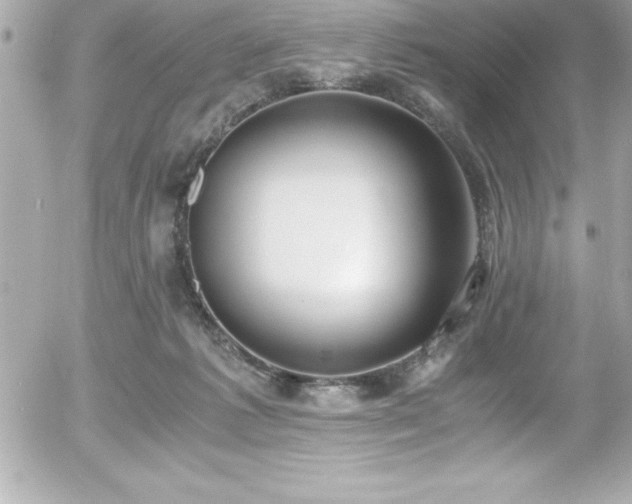 X0000056000221200508191332